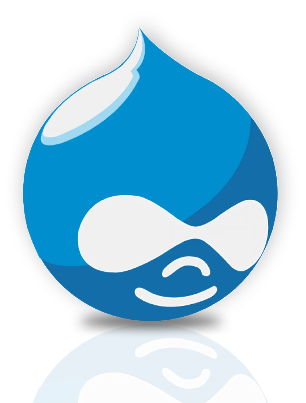 Drupal Developer